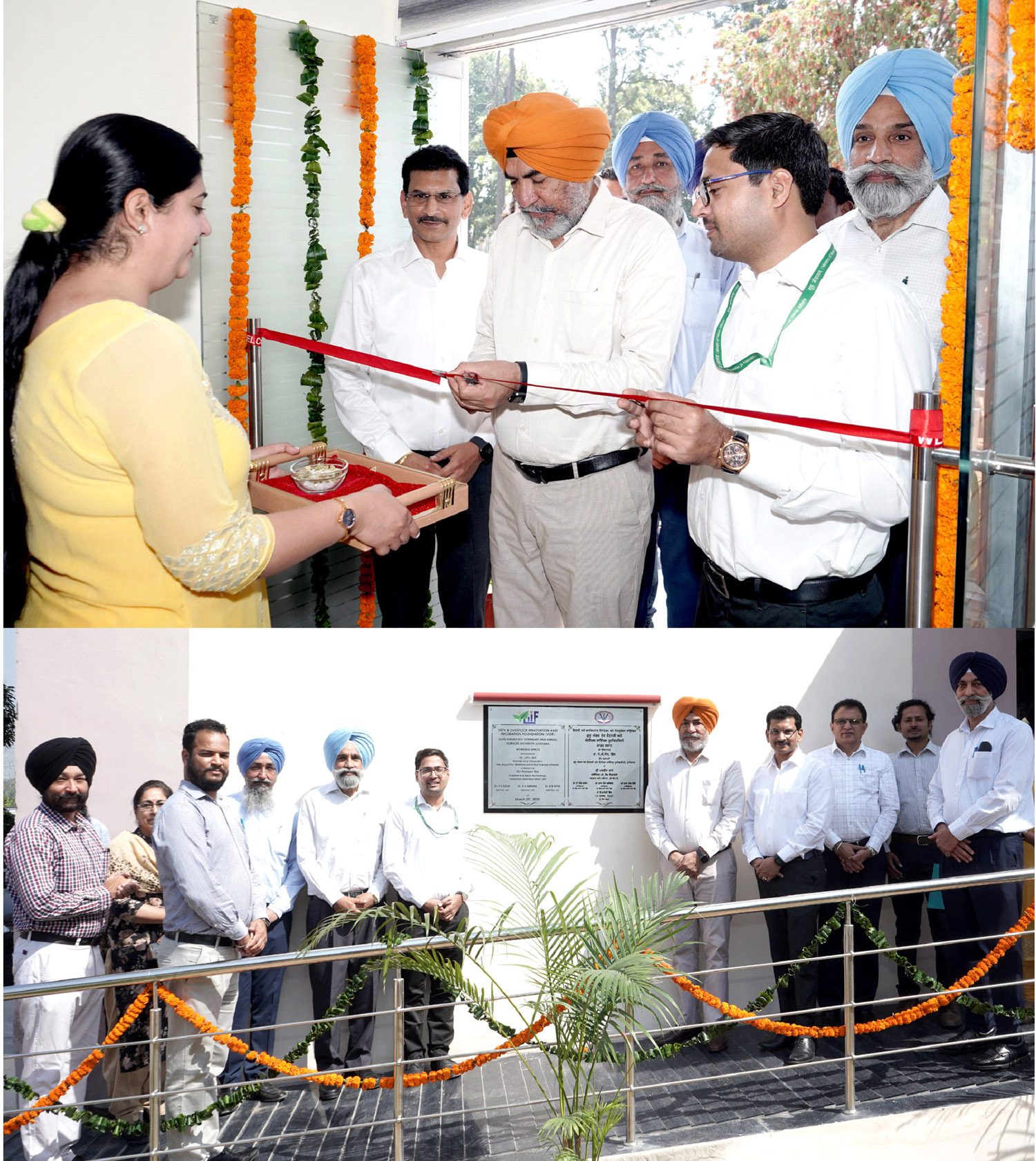 Vet Varsity Unveils State-of-the-Art Incubation Space for Livestock Innovation